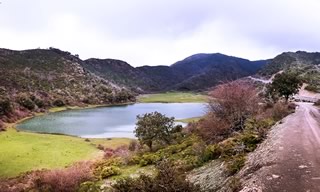 Collines, lac et végétation Algérie