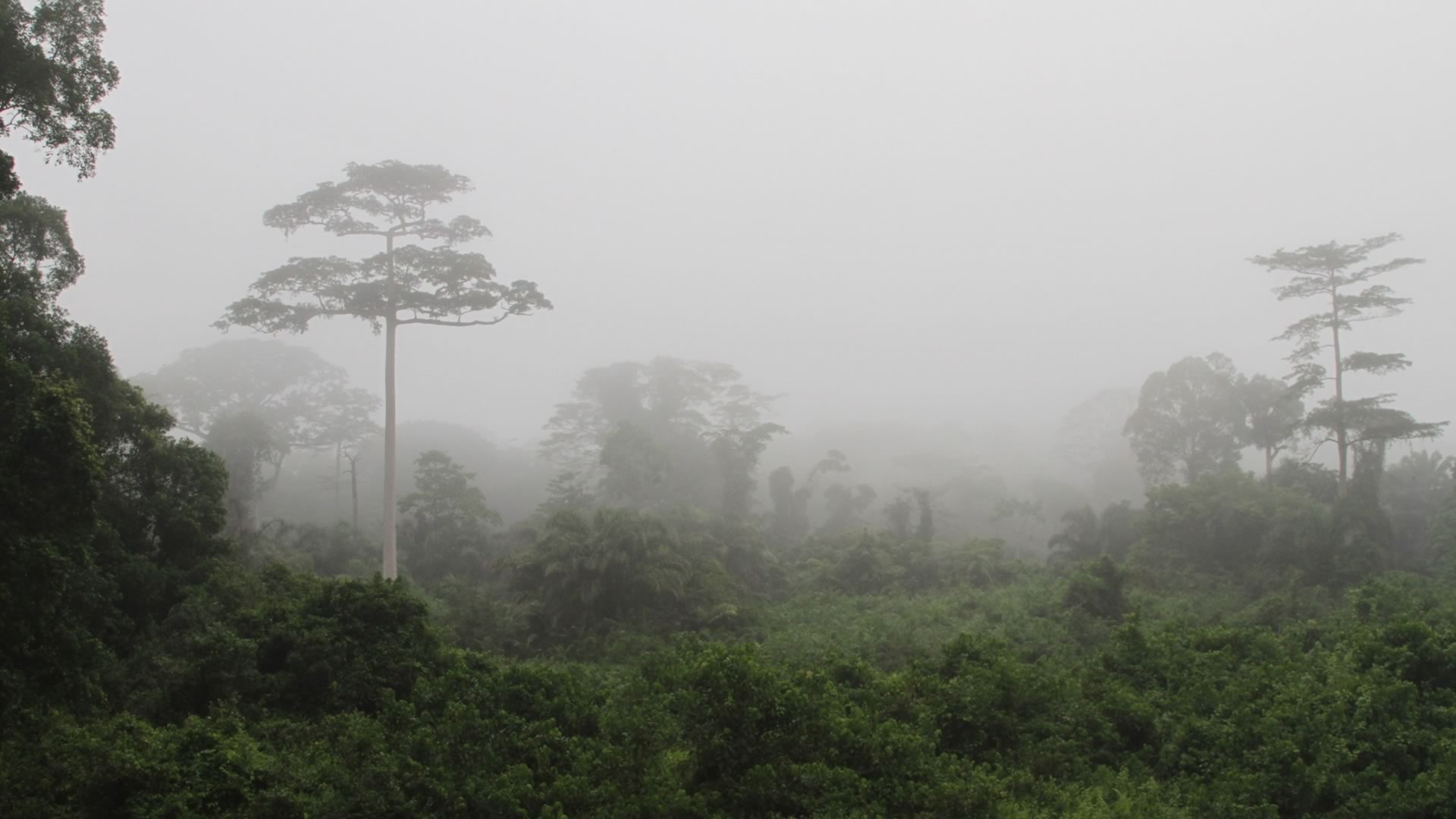 côte d'ivoire paysage